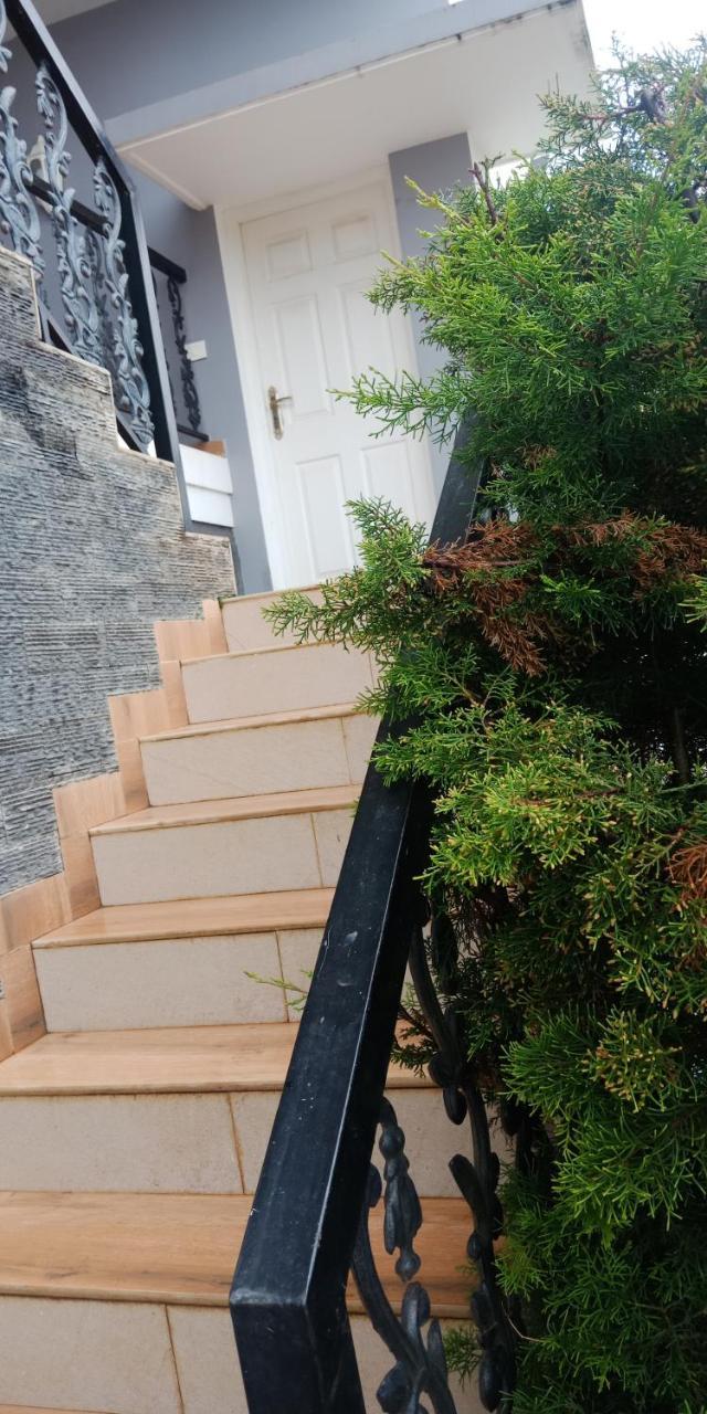 Aanvis Inn Ooty Exteriér fotografie
